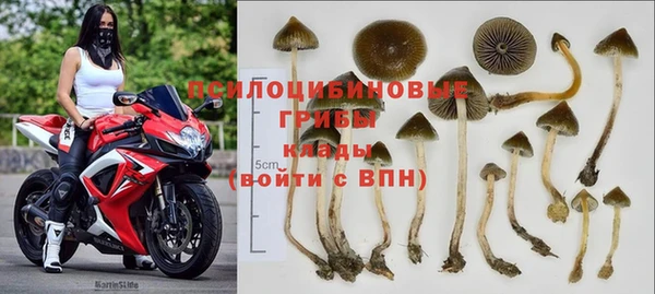 амф Алексеевка