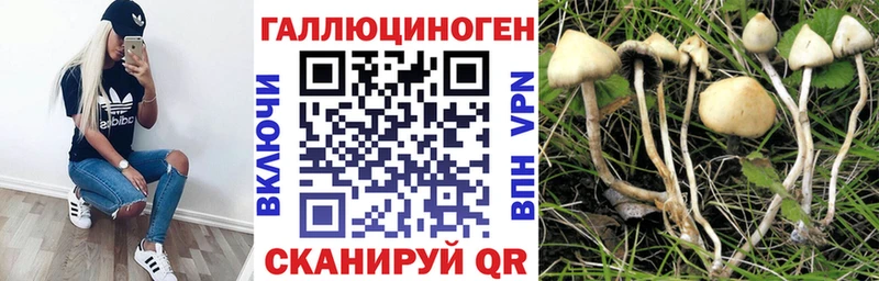 Галлюциногенные грибы Magic Shrooms  ссылка на мегу ССЫЛКА  Багратионовск  магазин  наркотиков 